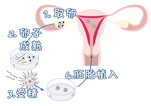 中药房